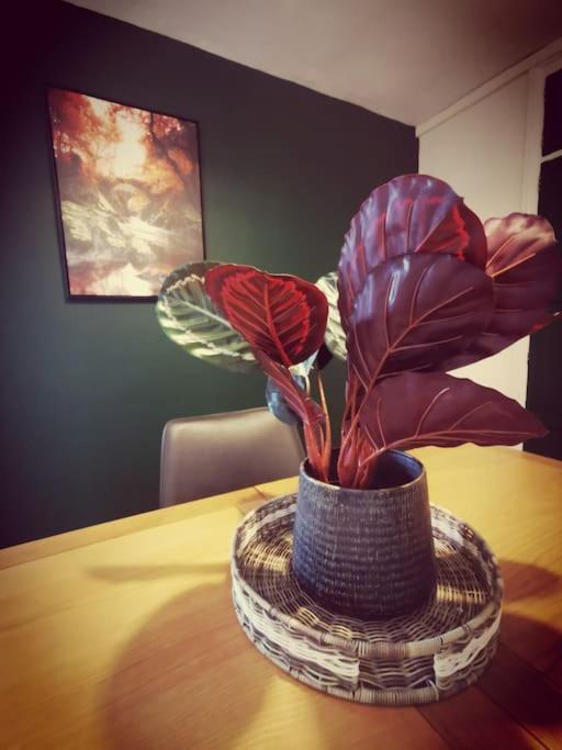 Entire 1 Bed Spacious Apartment, Private Balcony & Study Room Near City Whitehouse  Eksteriør bilde